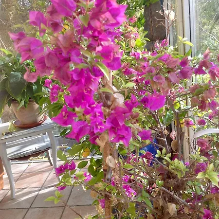 Art-be-and-b -studios Bed and breakfast 3*