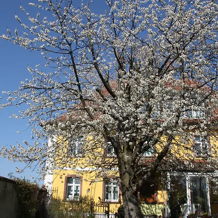 Bed and breakfast Art-be-and-b -studios