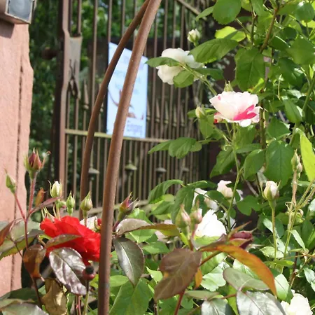 Art-be-and-b -studios 3* リーゲル