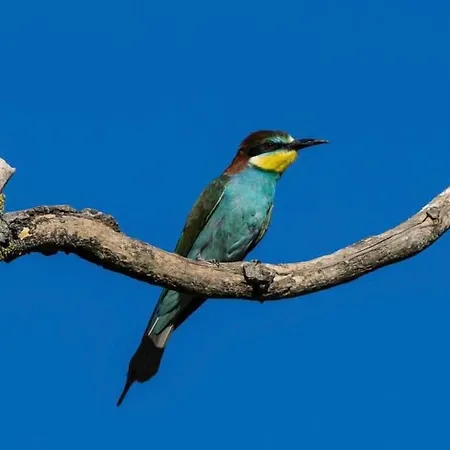 Art-be-and-b -studios