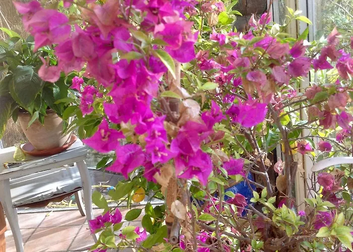 Art-be-and-b -studios Bed & Breakfast 3*