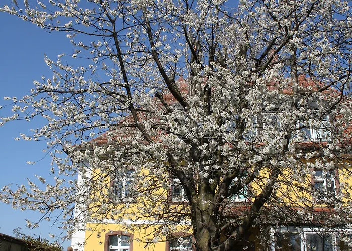 Bed & Breakfast Art-be-and-b -studios