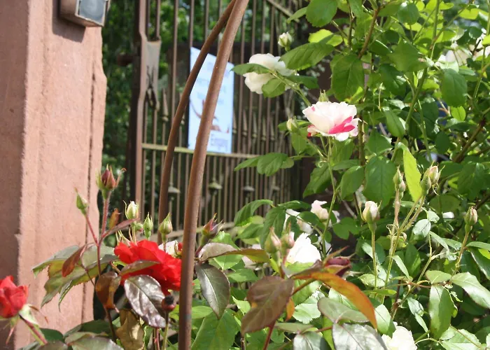 Art-be-and-b -studios 3* Riegel am Kaiserstuhl