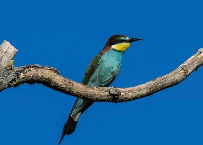 Art-be-and-b -studios